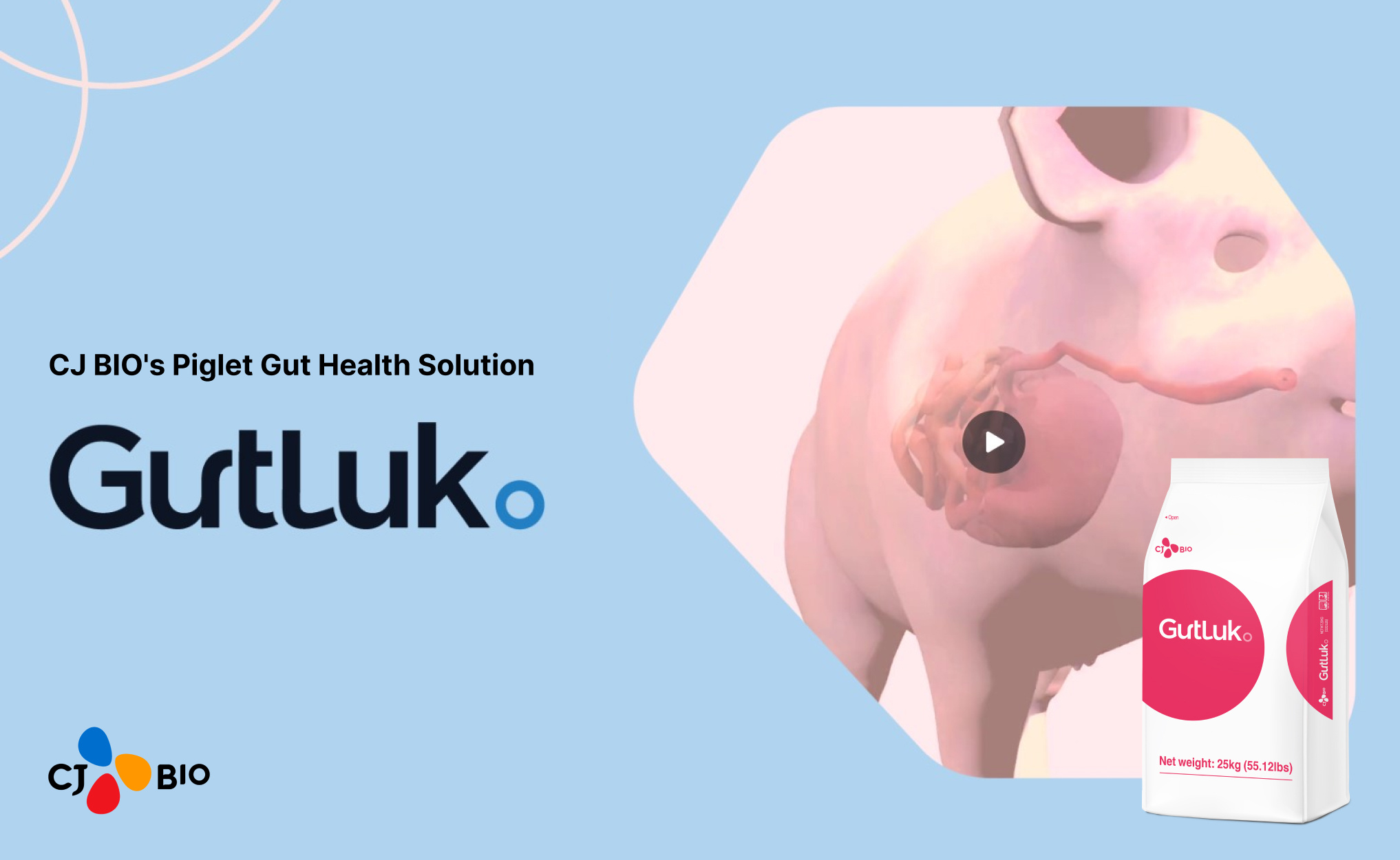 CJ BIOS Piglet Gut Health Solution